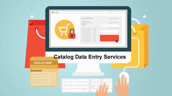 catalog data entry